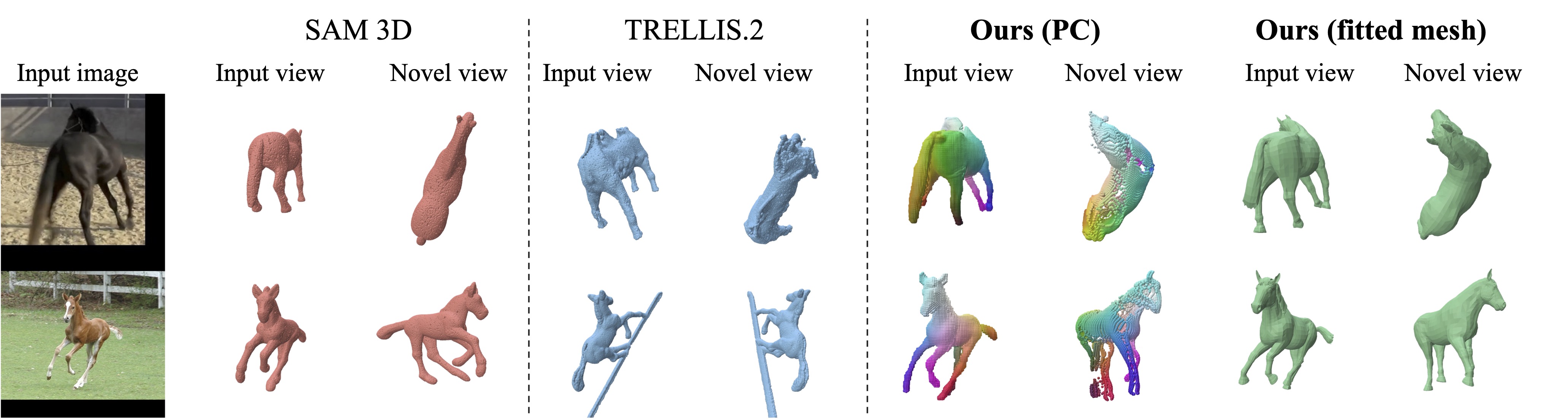 SAM-3D and Trellis on Horses